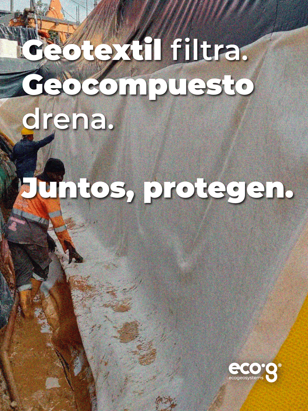 Proyecto