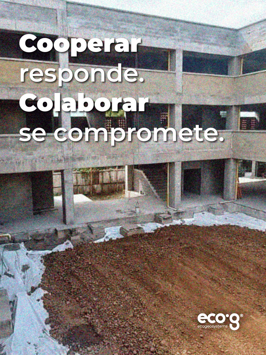 Proyecto