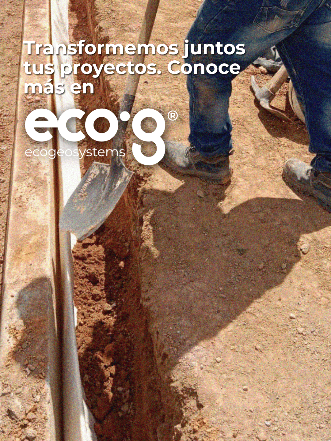 Proyecto