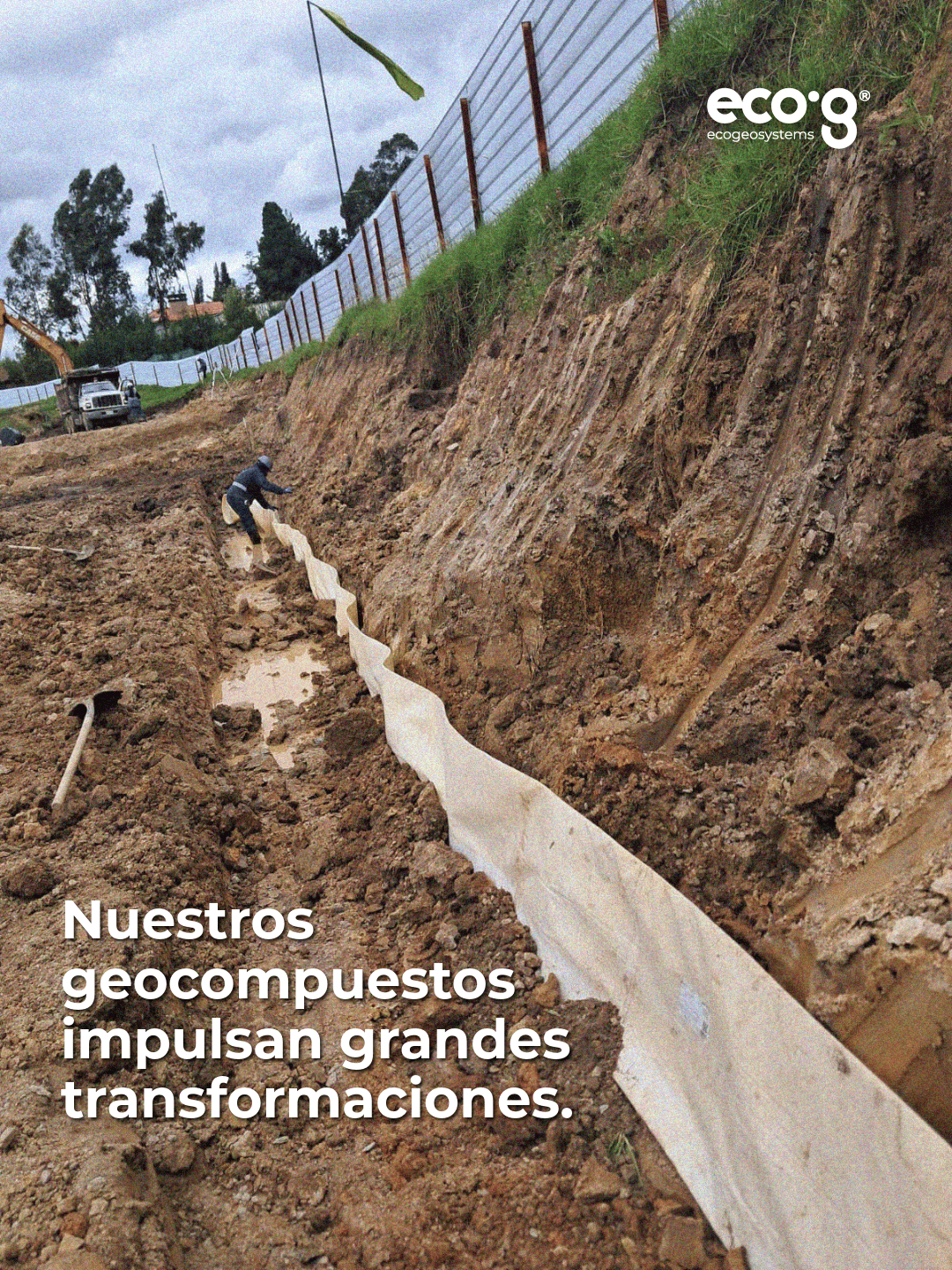 Proyecto