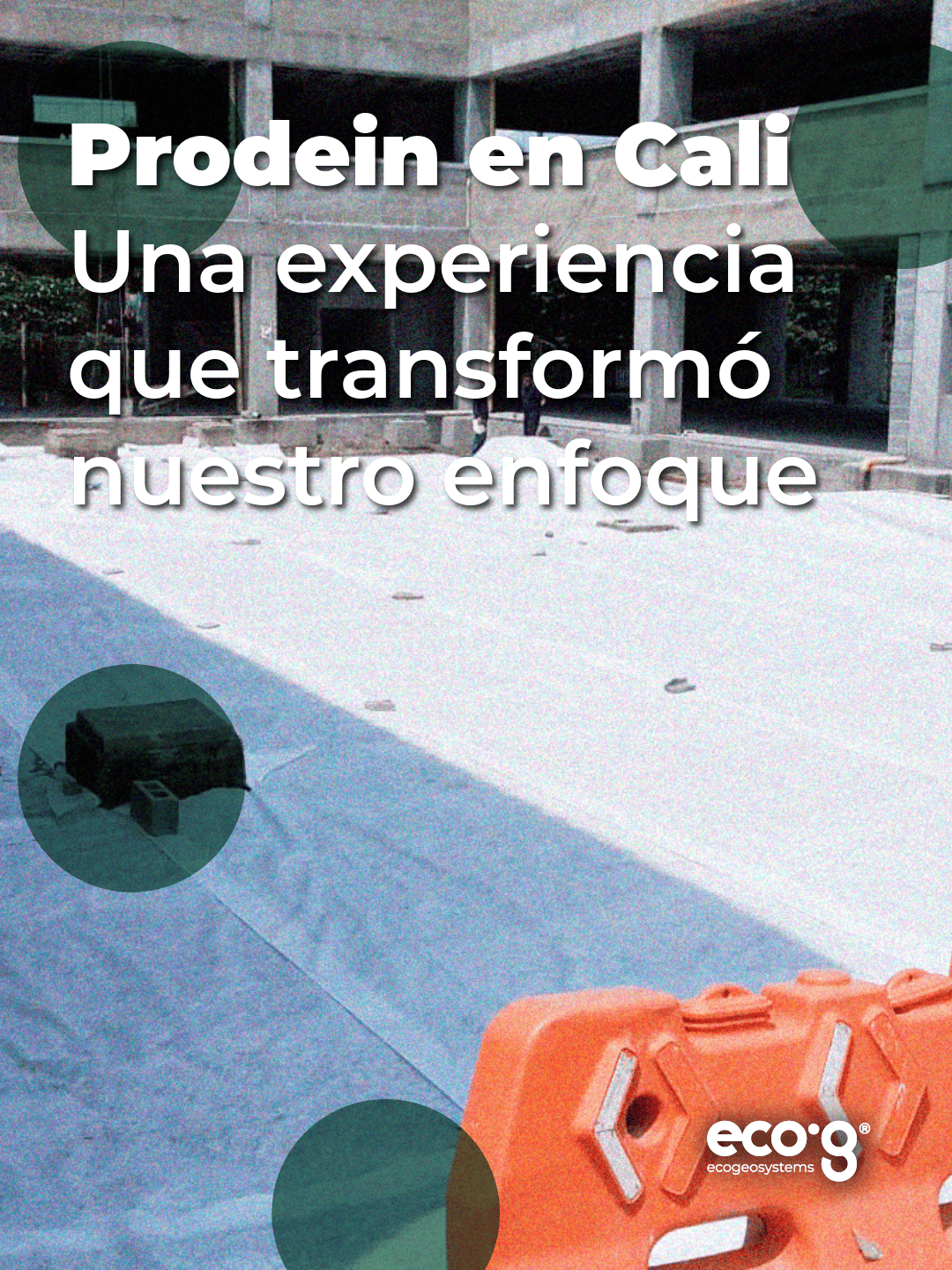 Proyecto