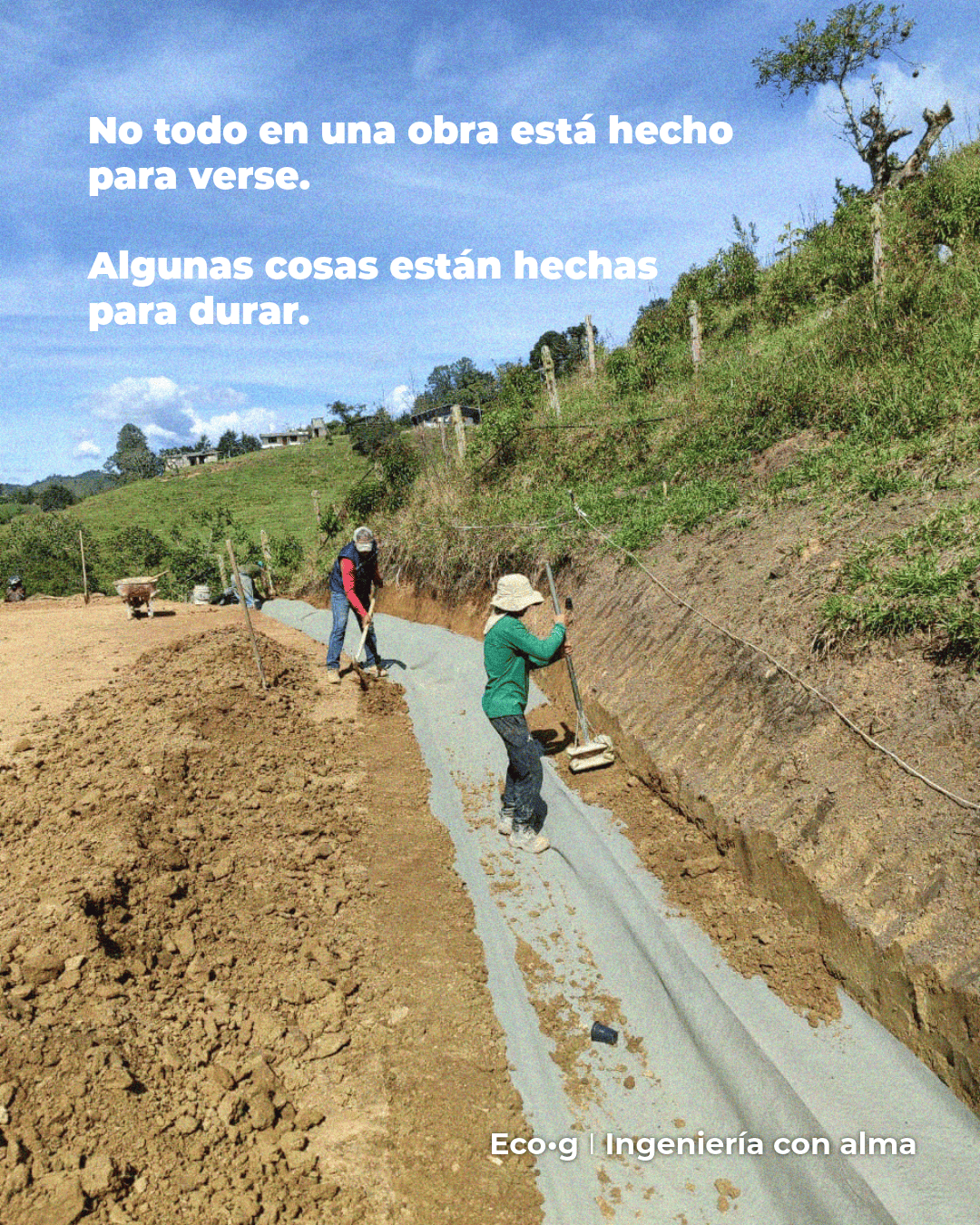 Proyecto