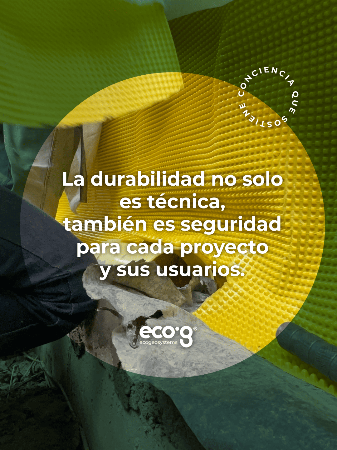 Proyecto