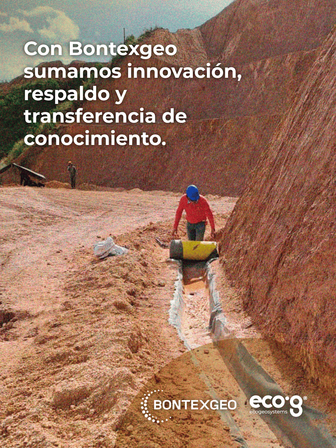 Proyecto