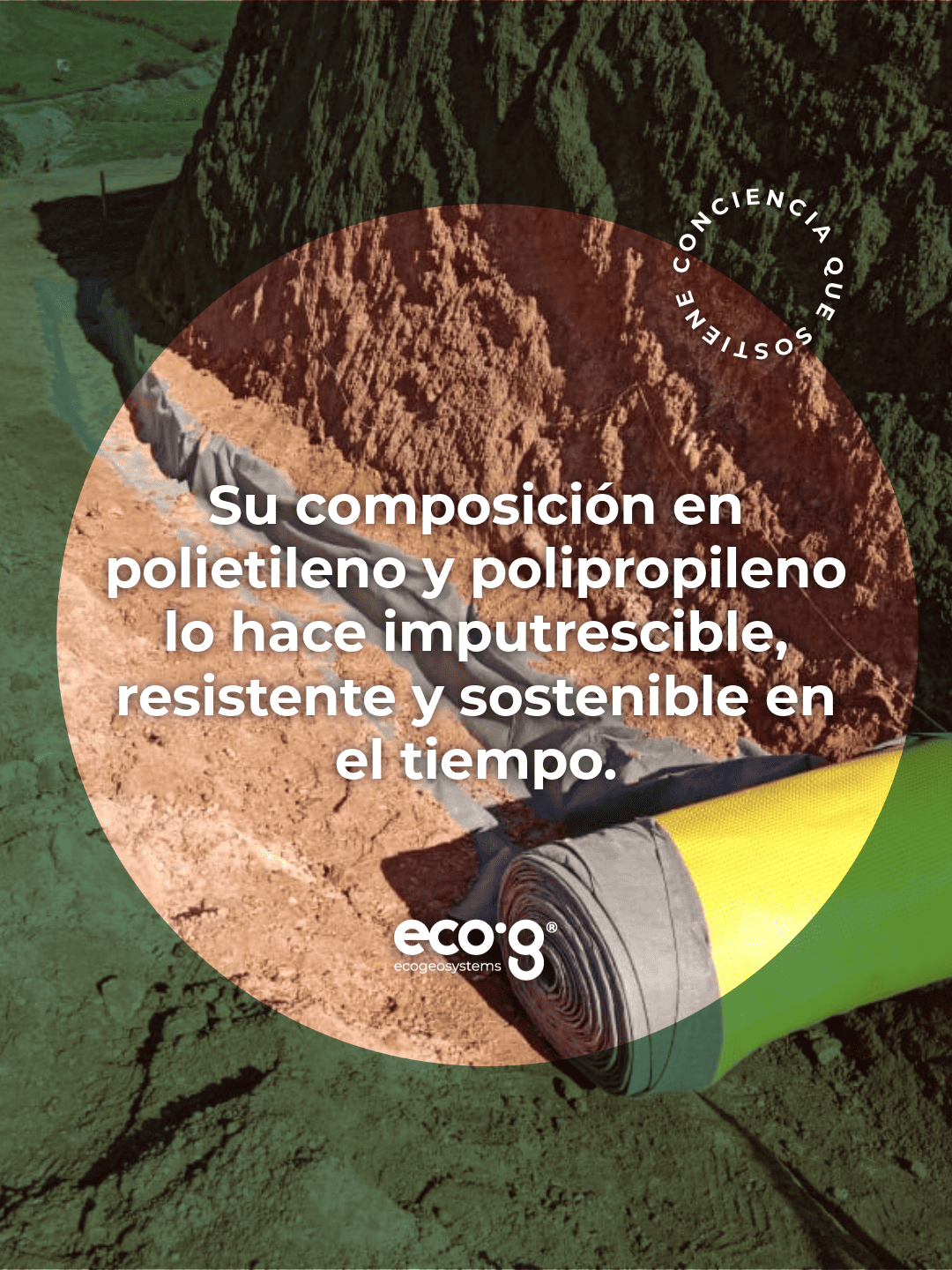 Proyecto