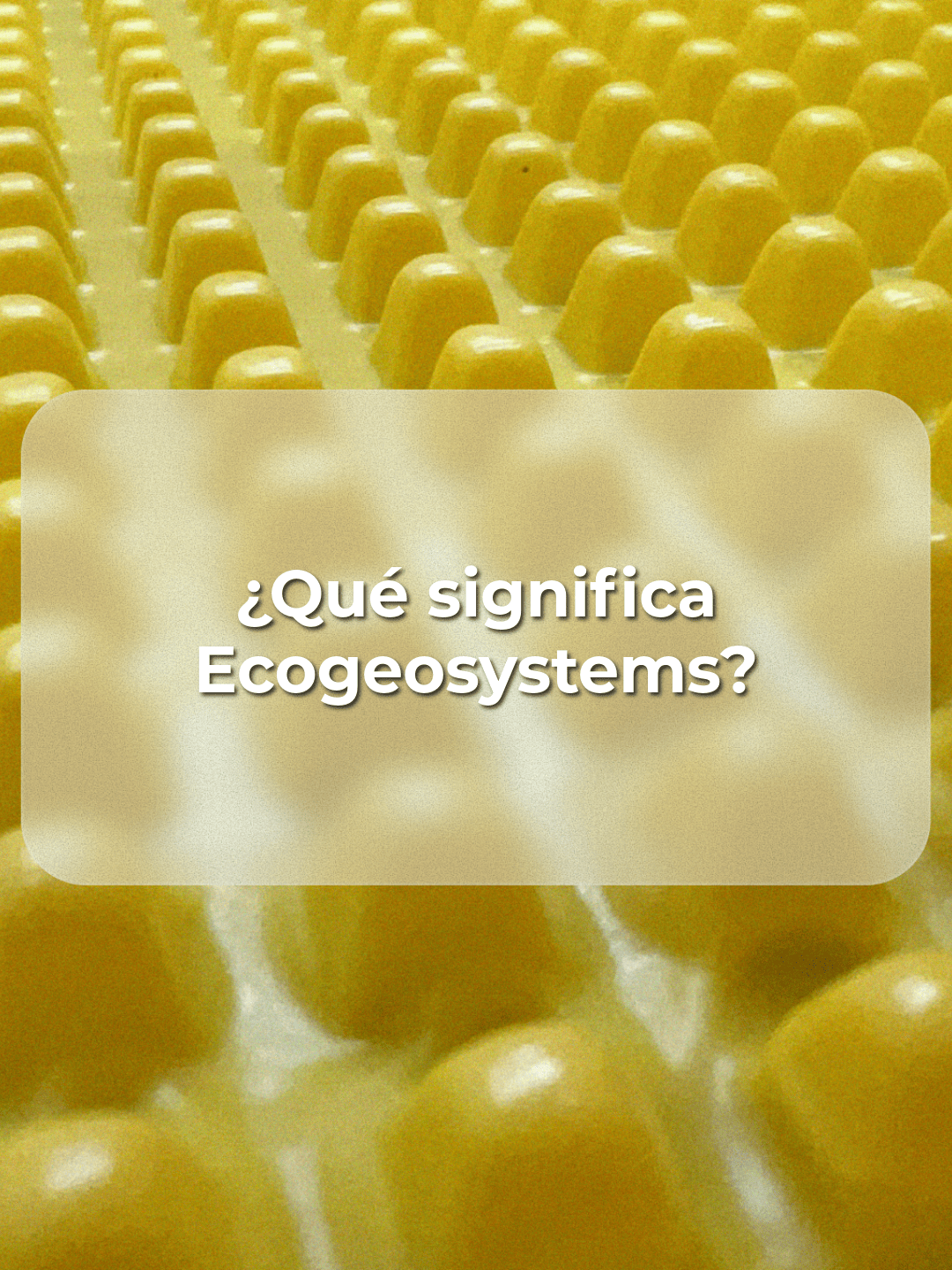 Proyecto