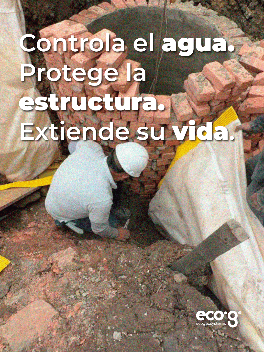 Proyecto