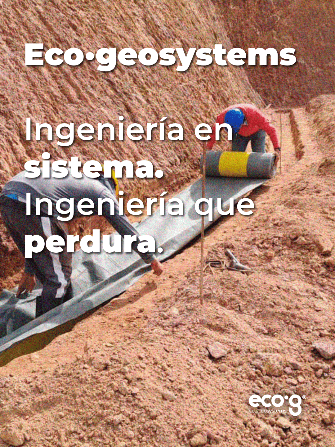 Proyecto