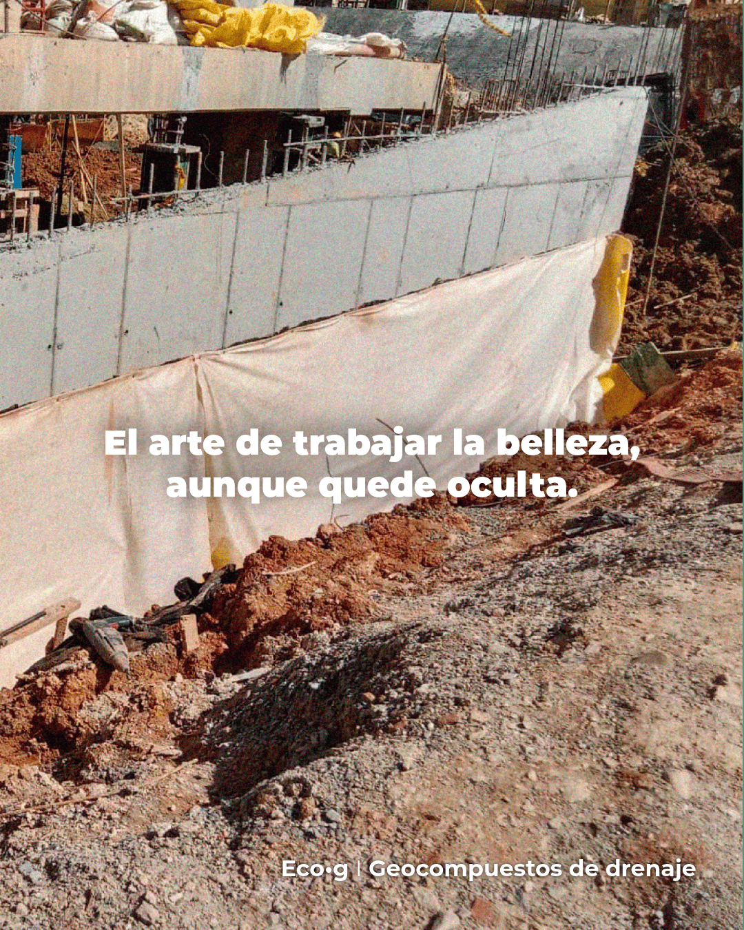 Proyecto