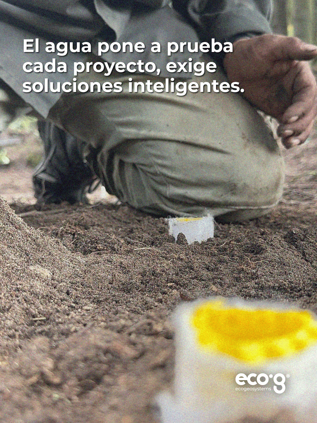 Proyecto