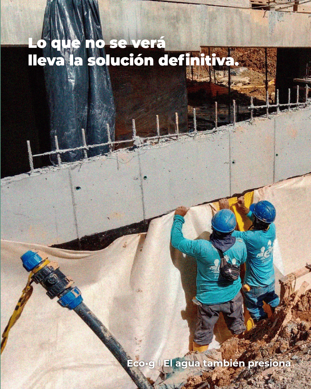 Proyecto