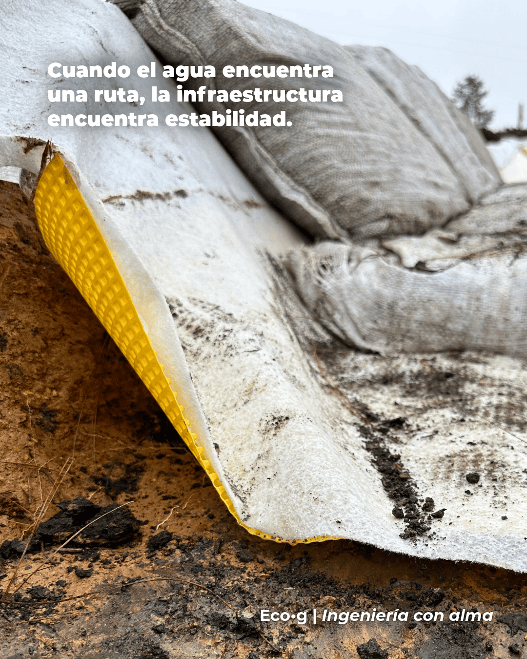 Proyecto