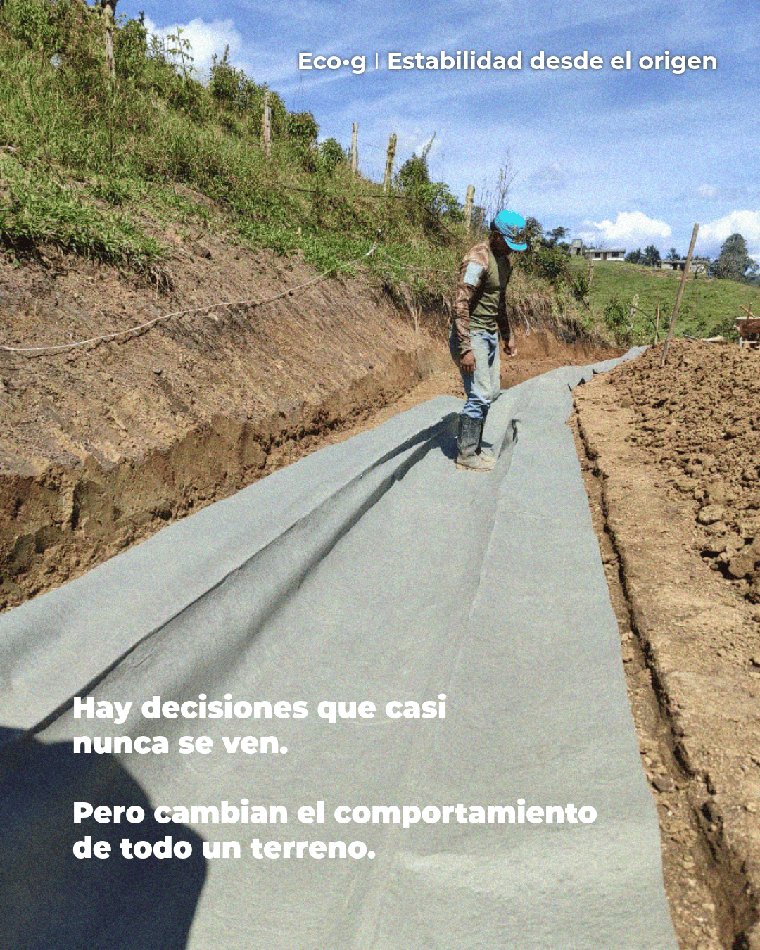 Proyecto