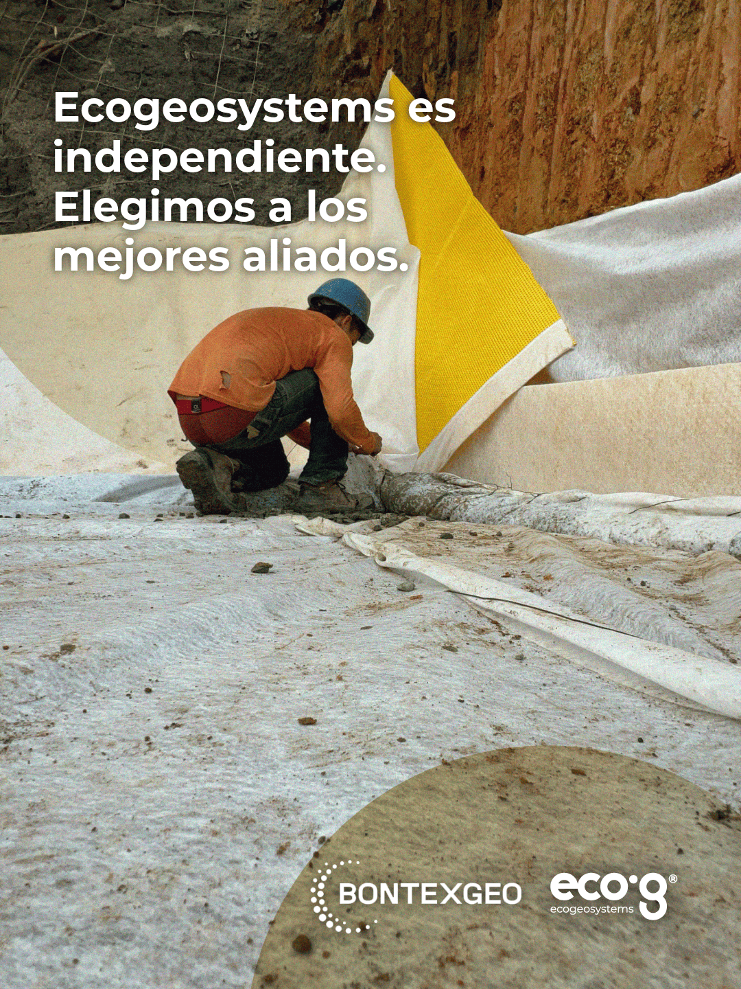 Proyecto