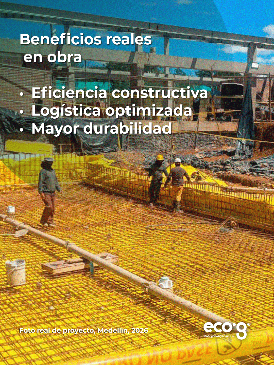 Proyecto